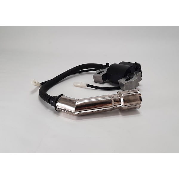 Ignition Coil Asse